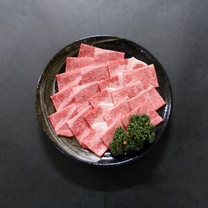 A5等級飛騨牛:焼肉用500g　ロース又は肩ロース肉【配送不可地域：離島】【1538418】