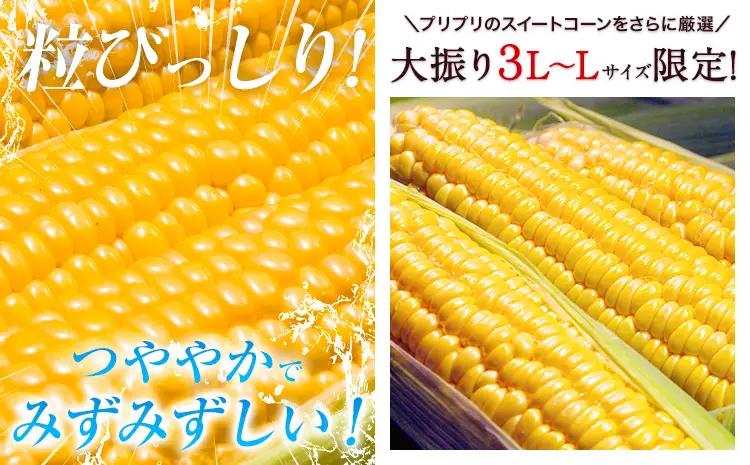 とうもろこし 15本 とうもろこし【着日指定不可】
