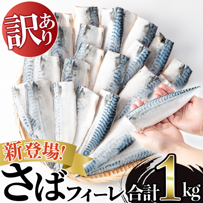 No.1383-A 訳あり！無塩とろさばフィーレ(約1kg) 干物 さば サ