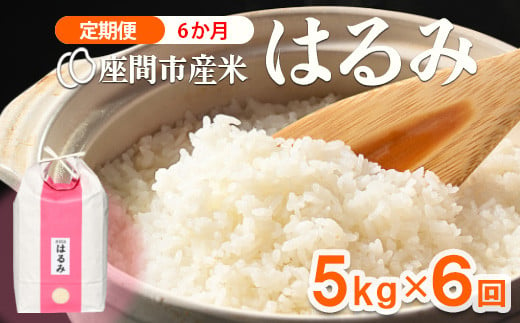 
【定期便】6か月 座間市産米　はるみ5kg×6回　※離島への配送不可　※2024年10月中旬頃より順次発送予定
