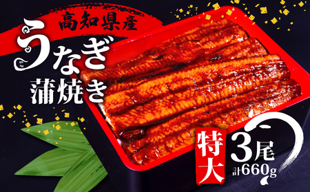 うなぎ 国産 高知県産 鰻 蒲焼き 220g×3尾 セット 蒲焼きのタレ 付き 冷凍 高知県 須崎市（うなぎ 蒲焼き 冷凍 スタミナ 土用の丑の日 タレ 小分け タレ付 鰻 ウナギ）