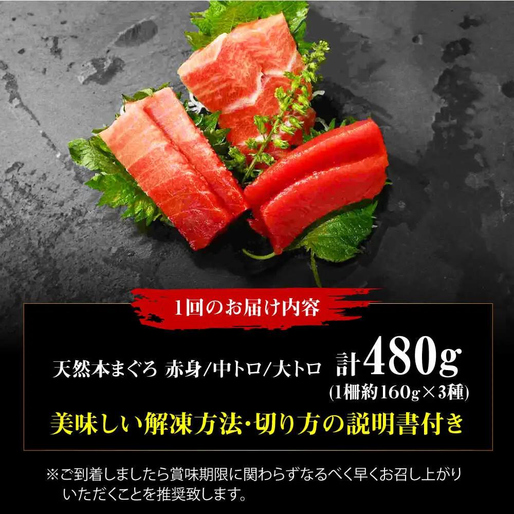 【全3回定期便】たね熟天然本まぐろ赤身＆中トロ＆大トロセット(各160g 計480g)[AOCE043]マグロ