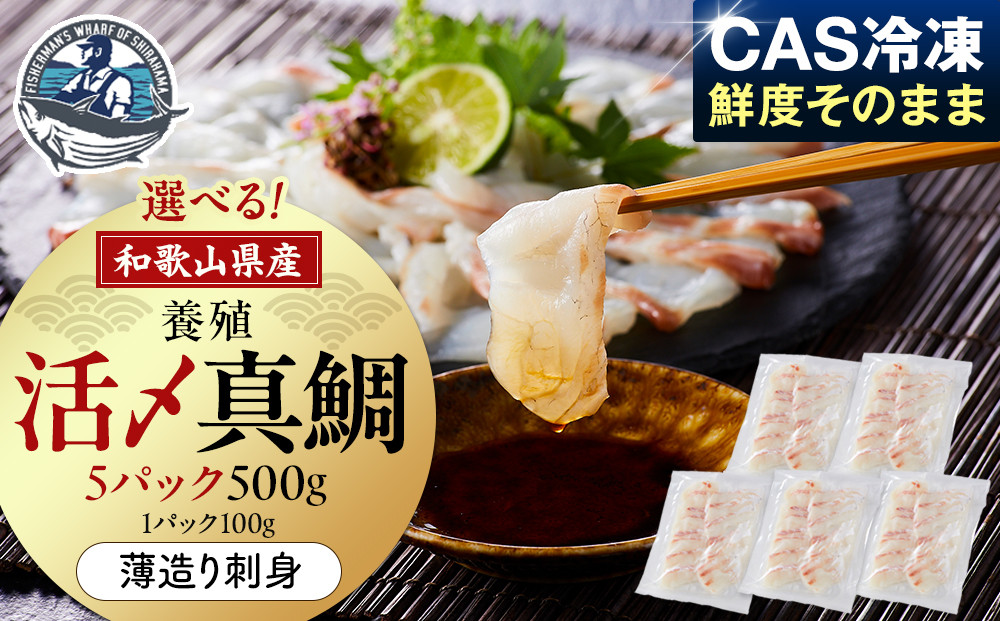 活〆 真鯛 薄造り 刺身 100g × 5パック 304018_C013
