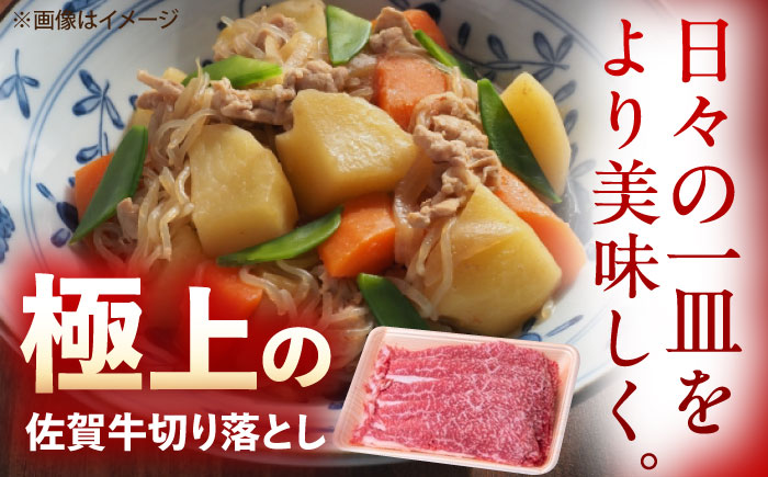 佐賀牛 切り落とし 2.4kg（600g×4p） /MKミート武雄 [UEM038]