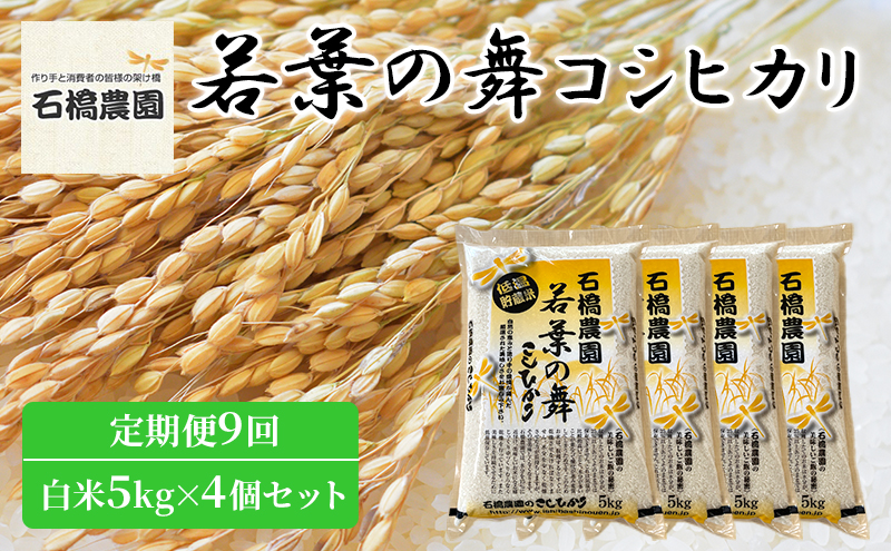 米 若葉の舞 コシヒカリ 白米5kg×4個セット 定期便9回 こしひかり セット 定期便 お米 白米 精米 千葉 千葉県 低温保存