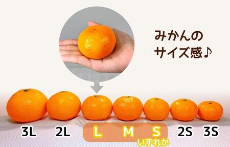 熟成 みかん 箱込7.5kg ( 内容量 6.8kg ) SMLサイズのいずれか 秀品 優品 混合 和歌山県産 産地直送 贈答用 【みかんの会】