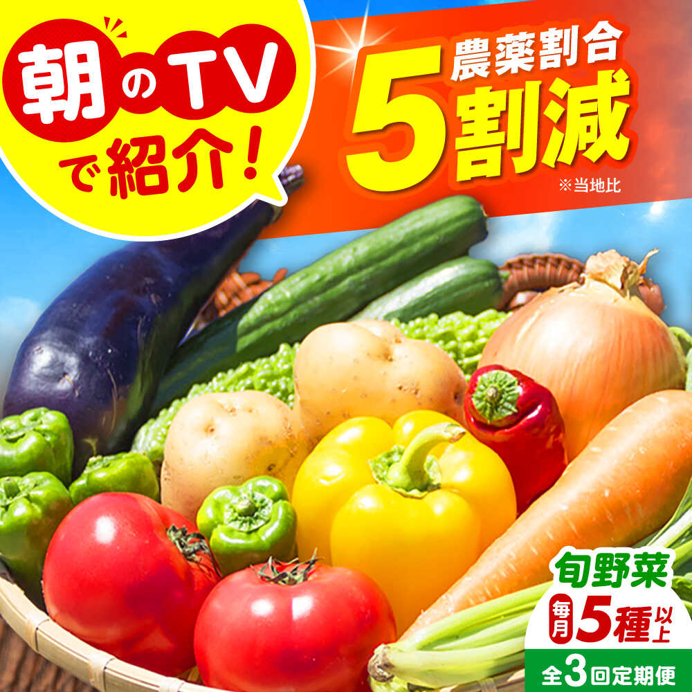 【ふるさと納税】【全3回定期便】 米ぬかで育てた！旬のお野菜セット 詰合せ 詰め合わせ 新鮮 産地直送 おまかせ やさい 野菜セット 野菜 旬野菜 旬 人気 お取り寄せ 野菜詰め合わせ 野菜セット ご当地 自家製 直送 農家 定期便 やさい 大阪府高槻市/ベジ彩ファーム[AOEJ005]