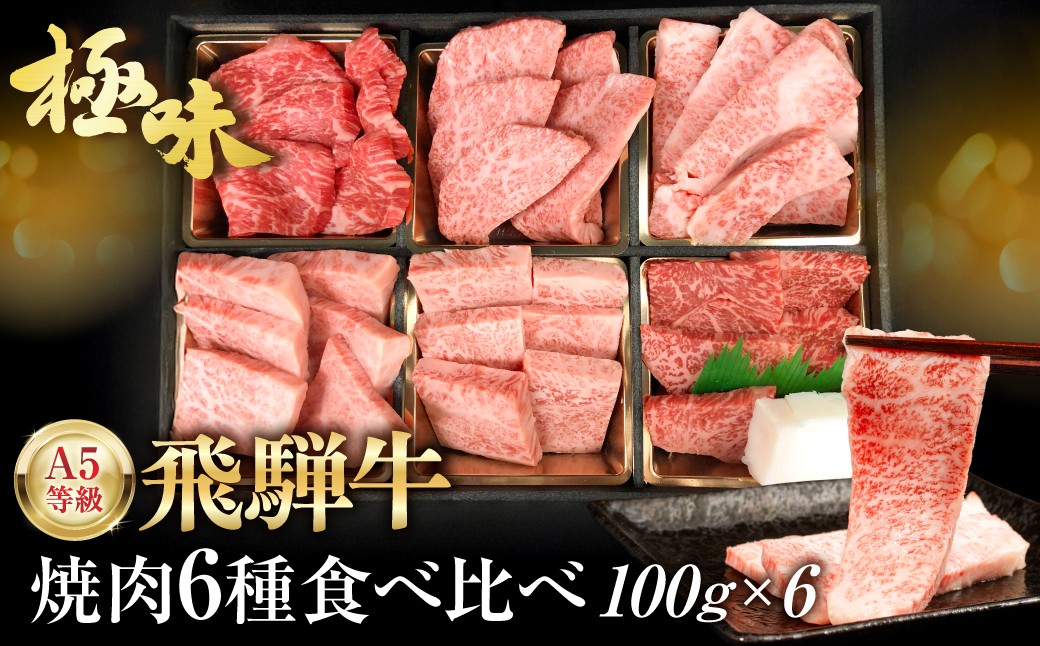
                  飛騨牛 焼肉 6種食べ比べ セット 600g(100g×6）| 発送時期が選べる 希少部位 A5 5等級 飛騨牛 牛肉 焼き肉 やきにく 和牛 牛肉 焼肉 焼き肉セット 焼肉セット 焼き肉牛肉食べ比べ 飛騨牛 牛肉 焼き肉 やきにく 和牛 牛肉 焼肉 焼き肉セット 焼肉セット 焼き肉牛肉食べ比べ 飛騨高山 ながせ食品 FH017VP
                