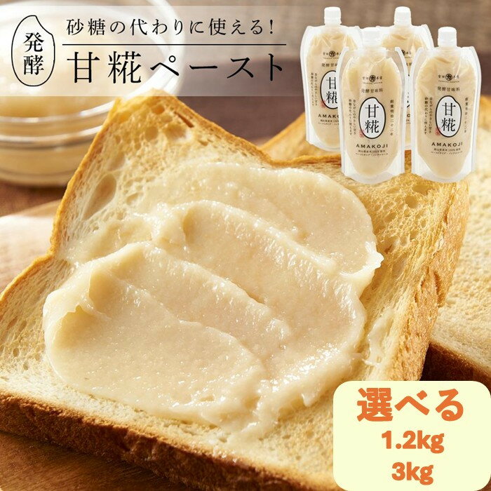 【ふるさと納税】【選べる量】　砂糖の代わりに使える！発酵甘味料 甘糀ペースト | 食品 加工食品 人気 おすすめ 送料無料