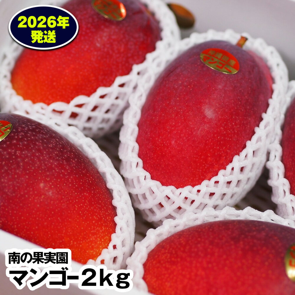 【ふるさと納税】【2026年発送】南の果実園　マンゴー2kg