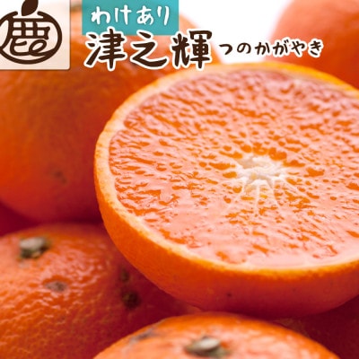 家庭用 津之輝1kg+250g(傷み補償分)【訳あり】【つのかがやき】【せとかに似た柑橘】【配送不可地域：離島・北海道・沖縄】【1648801】