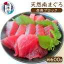 まぐろ 鮪 魚 冷凍 焼津 天然 南まぐろ 赤身ブロック 約600g 刺身に 海鮮丼に a12-005