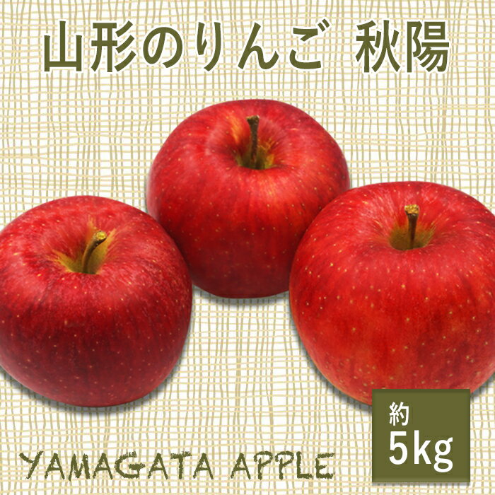 【ふるさと納税】＼アフター保証対象品／【2025年10月発送】山形のりんご（秋陽）約5kg_H077(R7)