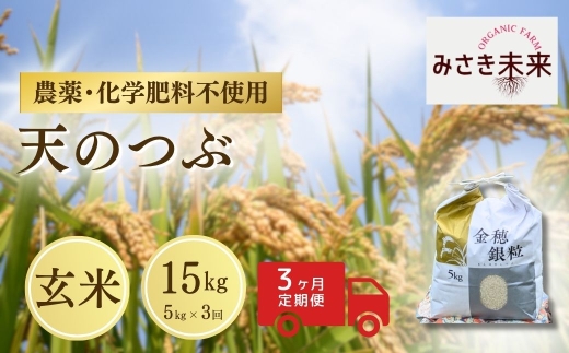 【3か月定期便】天のつぶ 玄米 15kg (5kg×3回) 令和8年産 | 無農薬 農薬不使用 化学肥料不使用 精米 お米 米 こめ コメ 福島産 福島県産 南相馬 みさき未来 天のつぶ