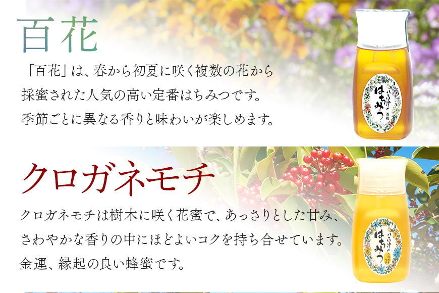 使いやすいプラ容器入り 非加熱生はちみつ 百花 クロガネモチ 各300g 計2本 純粋生はちみつ 食べ比べ