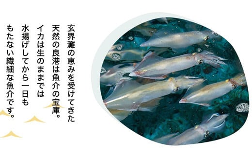 玄界灘の恵みを受けてきた天然の良港は魚介の宝庫。