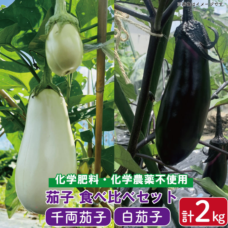 
            なす 千両なす 白なす セット ミックス 2色 約2kg 詰め合わせ 新鮮 産地直送 中華 漬物 夏野菜 阿波市 徳島県 楠農園
          