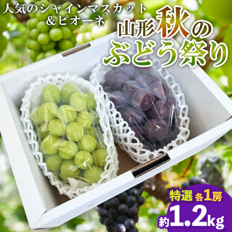 【ふるさと納税】山形秋のぶどう祭り【シャインマスカット・ピオーネ 特選 2房】【令和8年産先行予約】FS25-108