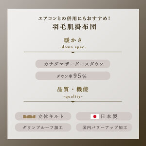 掛け布団 ブルー ダブルロング カナダマザーグース95% 0.4kg入り 羽毛肌掛け布団 夏掛け布団 布団カバー 布団干し 羽毛布団