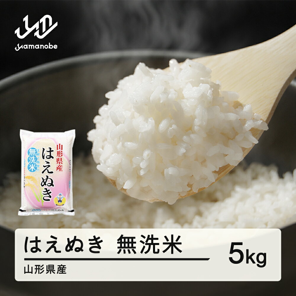 【ふるさと納税】新米 米 はえぬき 無洗米 5kg 配送時期選べる 令和8年産 2026年産 山形県産 送料無料 ※離島・沖縄への配送不可 tf-hamxb5