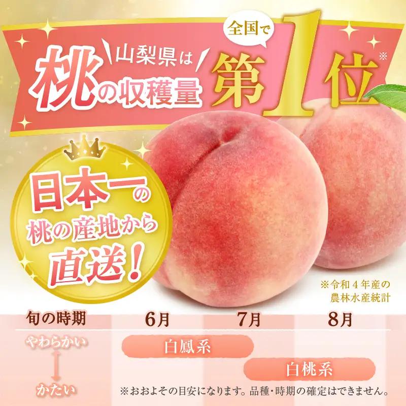 甲州市産 訳あり桃 約3kg（6～13玉）【2026年発送】（APX）B-198 桃 フルーツ