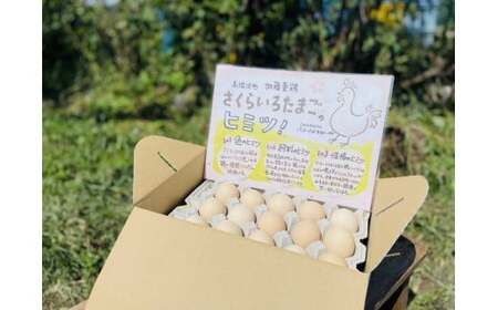 【9か月定期便】高根沢町産 加藤養鶏場のピンクたまご M～Lサイズ 27個＋割れ補償3個計30個×9カ月 計270個 ｜ 卵 玉子 たまご 選べる ピンク卵 ピンクたまご 生卵 国産 濃厚 鶏卵 コク