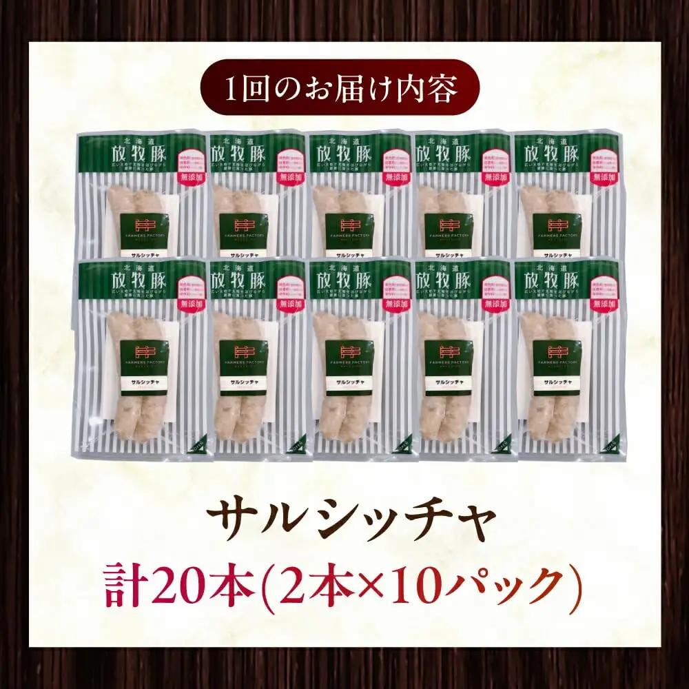 【全2回定期便】【訳あり】【結着剤・発色剤・保存料不使用】 放牧豚 サルシッチャ 2本x10セット（90g/パック） 訳あり ソーセージ ウインナー 無塩せき 冷凍配送 セット 詰め合わせ 北海道 [