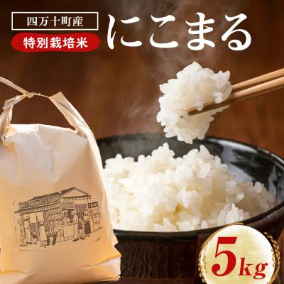 ふるさと納税 四万十町 四万十清流育ち!つや甘み際立つ にこまる 5kg　Fnp-05