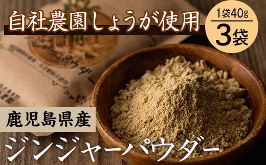 
有機生姜使用！鹿児島県産ジンジャーパウダー 40g×3袋【A-580H】
