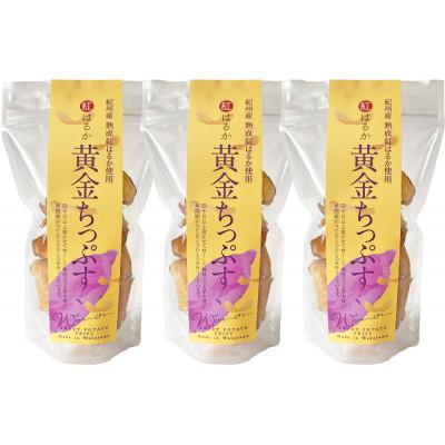 ふるさと納税 白浜町 黄金ちっぷす Y 3個セット