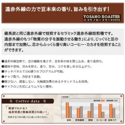 【毎月定期便】コーヒー豆　グァテマラ ウエウエテナンゴファンシー　200g×2　遠赤外線焙煎全12回【配送不可地域：離島】