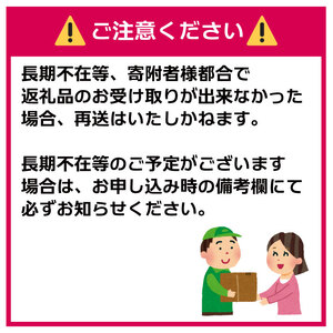【パックごはん】 200g × 12個 お米 米 国産 保存食 備蓄 防災 小分け 手軽 簡単調理 白米 彩のかがやき パックご飯 ブランド米 長期保存 まとめ買い 送料無料 レトルト ご飯 JA 埼