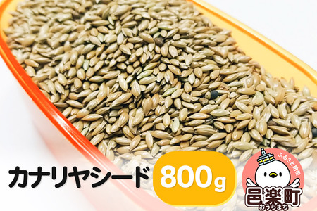 カナリヤシード 800g×1袋 サイトウ・コーポレーション 飼料