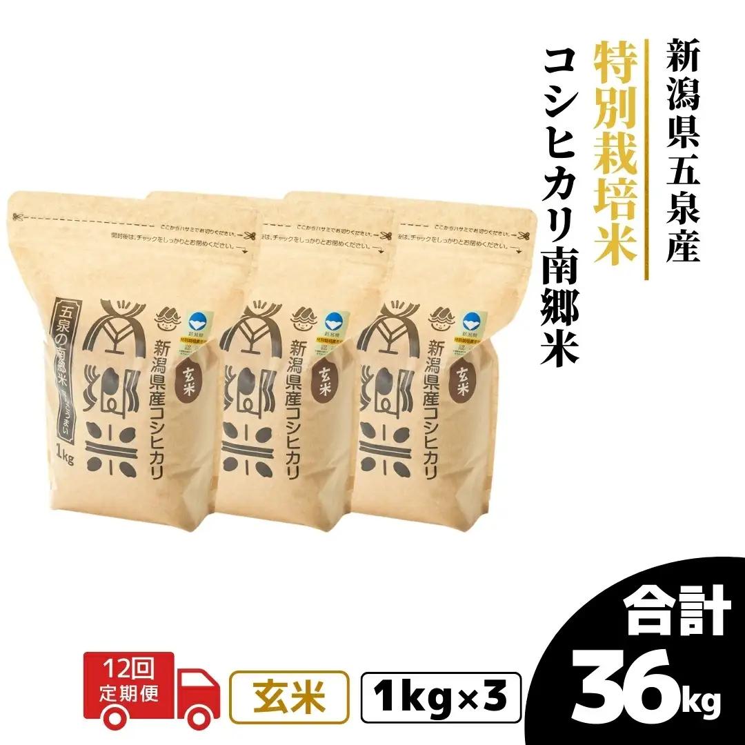 令和8年産米【12回定期便】特別栽培コシヒカリ 玄米 3kg（1kg×3袋） | コシヒカリ 玄米 米 新潟県産 五泉市 特別栽培米 新米