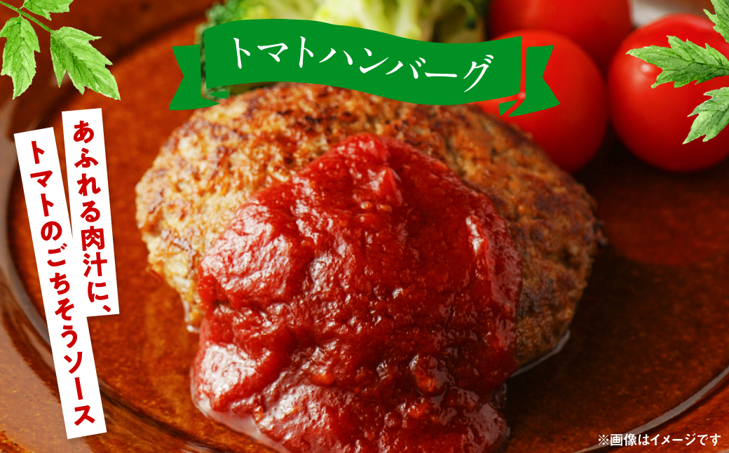 【先行予約】魅せる・美せる・味せる！「３み」一体ミニトマト！ 八代市産 トマト ミニトマト 約3kg 野菜 とまと 熊本県 八代市 【2025年10月下旬より順次発送】