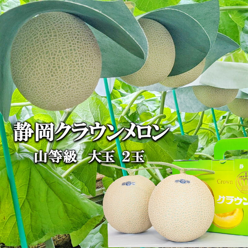 【ふるさと納税】クラウンメロン山等級1.4kg前後　2玉入り　 果物 メロン青肉 フルーツ デザート 高級メロンブランド 高級メロン ブランドメロン