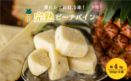 穫れたて新鮮冷凍！西表島の完熟ピーチパイン 500g×8袋