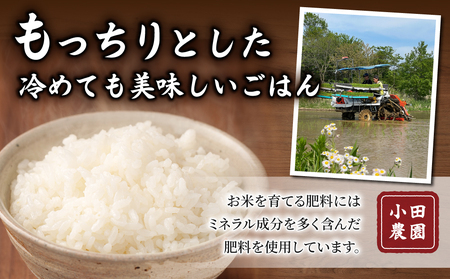 【小田農園】冷めても美味しいコシヒカリ　白米4kg　｜※2025年9月下旬以降、発送開始予定　※着日指定不可　白米白米白米白米白米白米白米