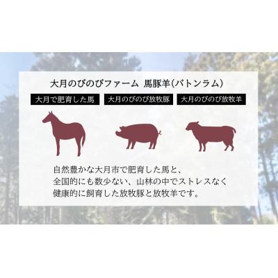 ふるさと納税 大月市 【バトンラム(馬豚羊)】ソフトサラミソーセージ・ボロニアサラミソーセージ・ウインナーソーセージ |  | 01
