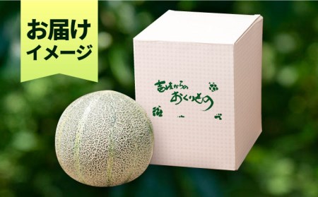 【予約受付中】【贈答用】 天然酵素で育ったアムスメロン「翠」大 1個 《壱岐市》【フレッシュメイト壱岐】 フルーツ 果物 メロン [JAZ007] 6000 6000円  コダワリメロン こだわりメロ