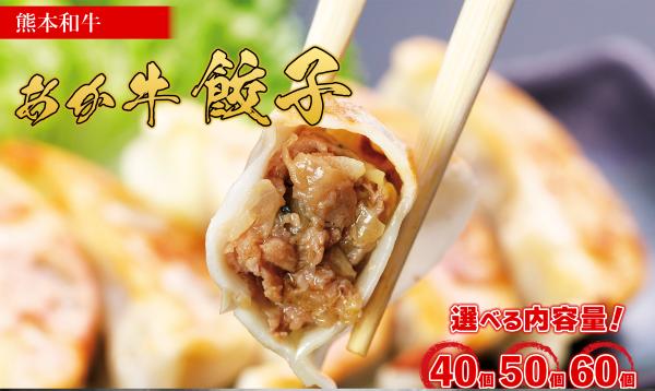 熊本和牛あか牛ぎょうざ 60個（発砲）ぎょうざ ギョーザ 選べる内容量 惣菜 冷凍餃子 大容量 冷凍 熊本県 水上村 60個
