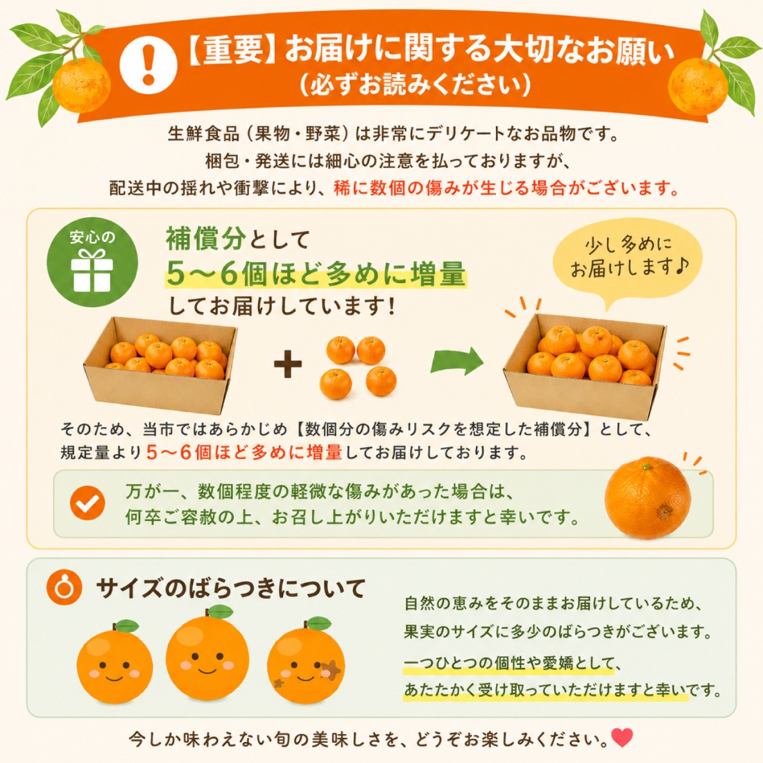 【2026年12月中旬～発送】【訳あり】家庭用 南高みかん 10kg / みかん ミカン 蜜柑 果物 フルーツ / 南島原市 / 南高果樹農業協同組合[SGI002]
