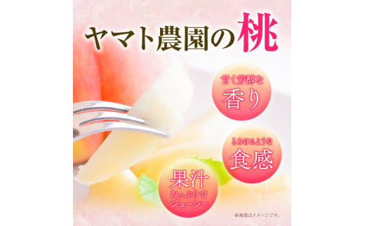 モモ 2kg ヤマト農園 《6月下旬‐7月下旬出荷》桃 もも 果物 フルーツ はなよめ 日川白鳳 あかつき グレートジャンボあかつき 清水白鳳 山根 ヤマト農園 徳島県 上板町 【配送不可地域あり】