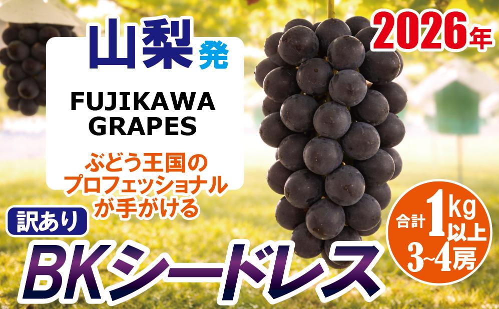 
                  《訳あり》でも誇れる美味しさ　【BKシードレス】　1.0kg以上（3～4房）　【2026年8月-9月発送】- FUJIKAWA GRAPES -　嬉しい満足感
                
