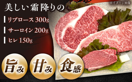【チルド（冷蔵）発送！】「飛騨牛」 A5等級 ステーキ用3種盛り！ ヒレ・サーロイン・リブロース / 牛肉 焼肉 鉄板焼き 網焼き BBQ/ 恵那市 / 東美濃農業協同組合[AUFX024]