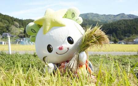 【数量限定】 新米 令和7年産 白米 5kg 品種 たかたのゆめ 〈ひとめぼれ×あきたこまち〉