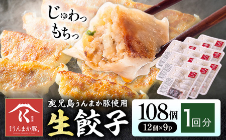 鹿児島うんまか豚生餃子 計144個(12個入り×12P) タレ付き