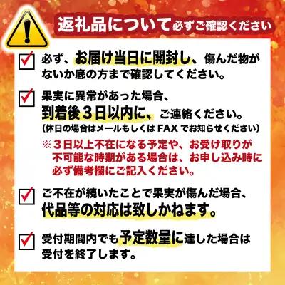 訳あり 愛南ゴールド（河内晩柑） 9kg サイズ(Ⅿ～2Ⅼ) みかん 愛媛 河内晩柑 石川ファーム