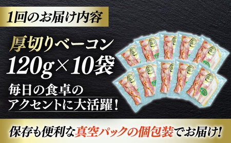 【全3回定期便】秒でプラスもう一品！ブランドポーク『オズの箱入り娘』使用！厚切りベーコンスライス×10ケ 合計1200g 豚肉 小分け ベーコン プレゼント 愛媛県大洲市/株式会社オズメッセ[AGAZ