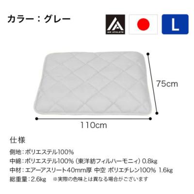 ふるさと納税 都城市 ペット用「エアーアスリート(R)」Lサイズ　グレー　ry0202lGY |  | 03